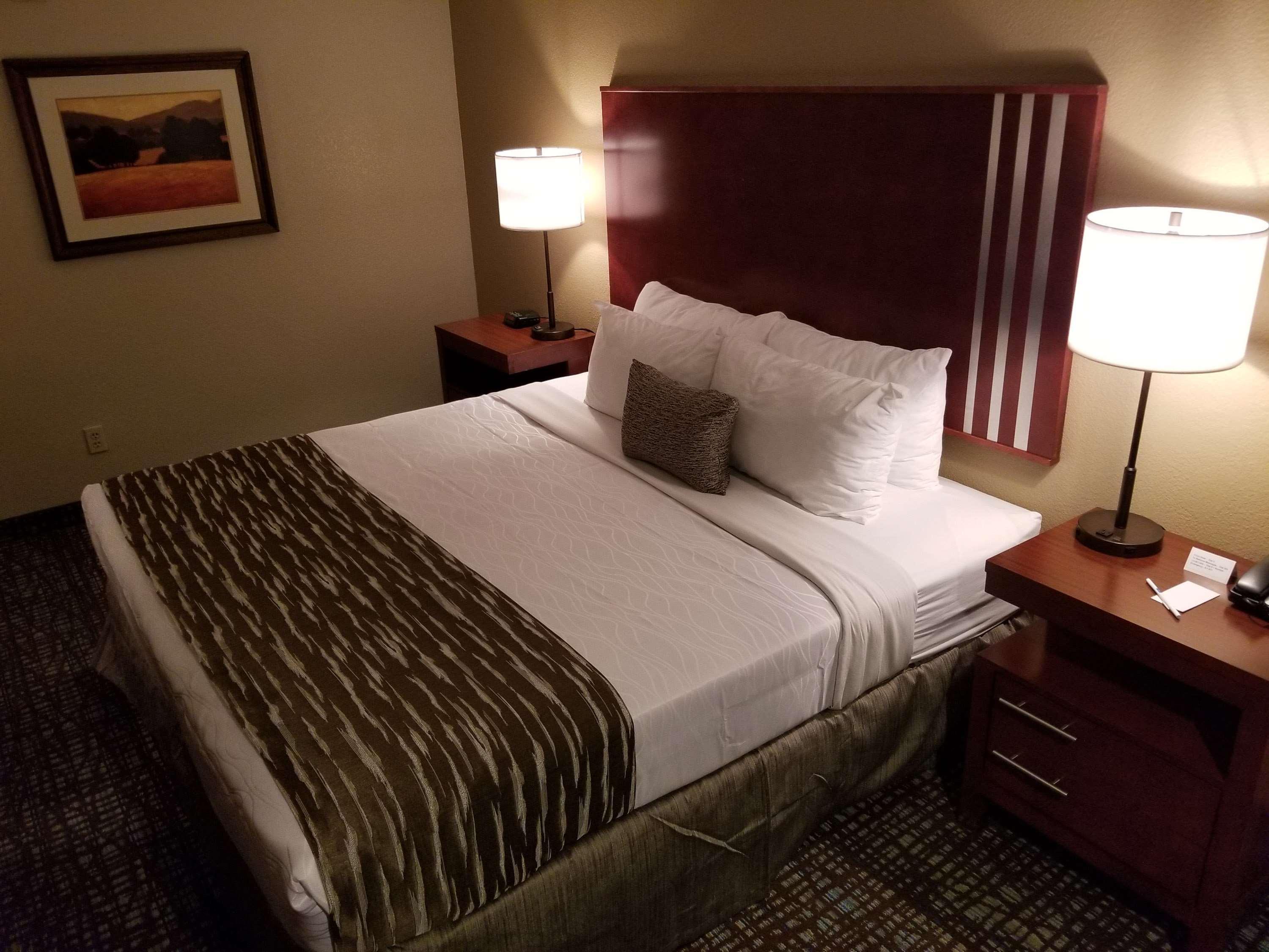 Best Western Plus Palm Court Hotel Davis Eksteriør billede