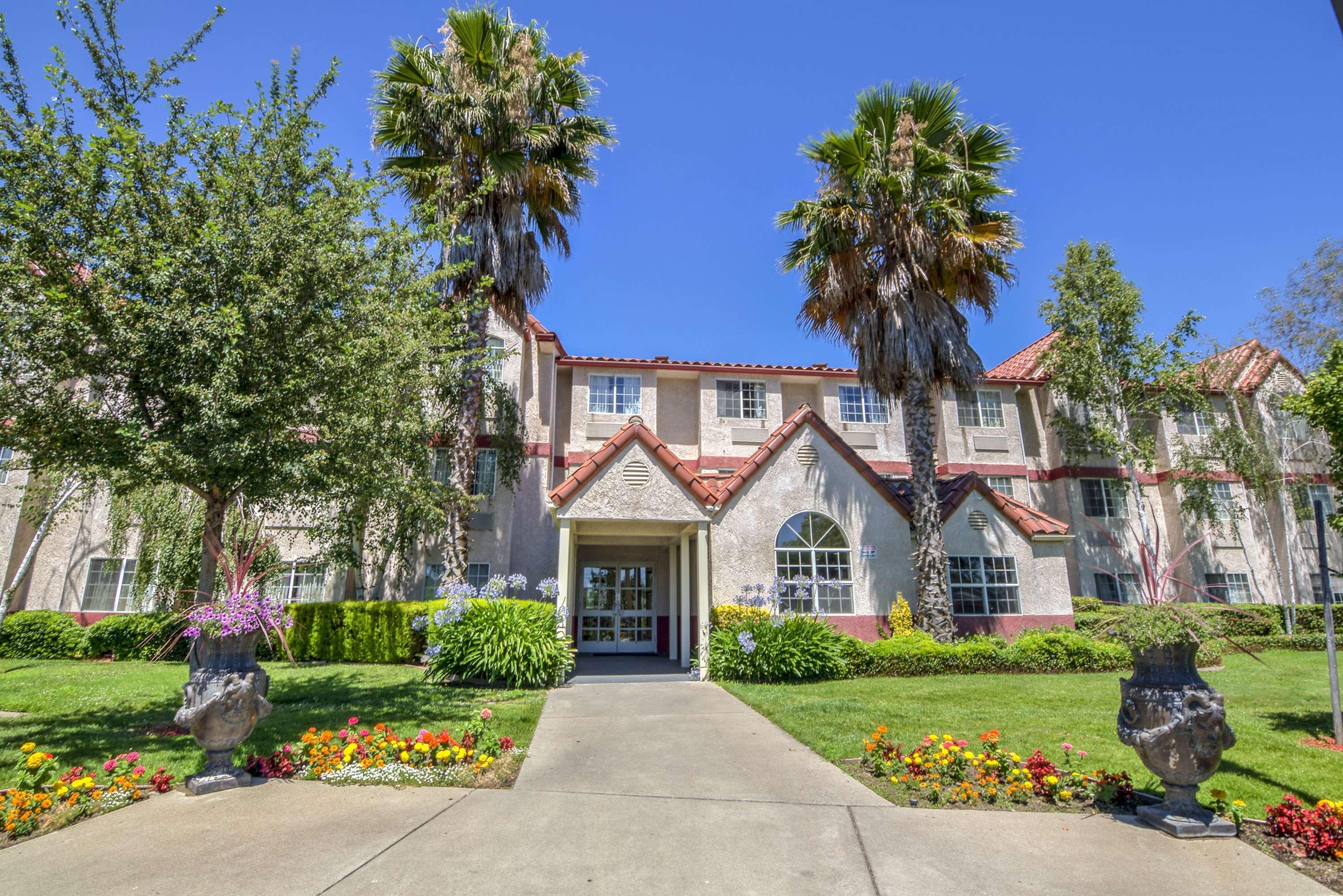 Best Western Plus Palm Court Hotel Davis Eksteriør billede